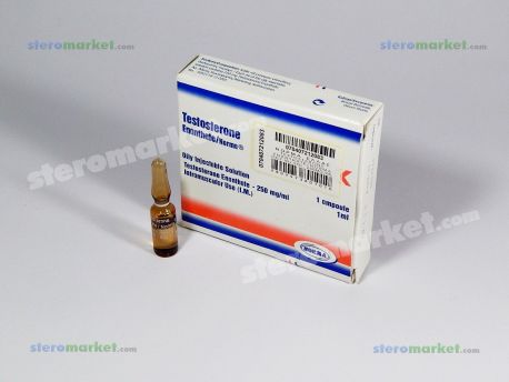 Norma Hellas Testosterone Enanthate 1ml amp