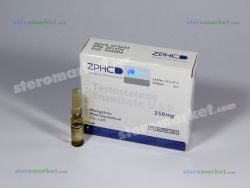 Zhengzhou Testosterone Enanthate 250mg 1ml amp