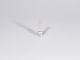 Bayer Schering Primobolan Depot 1ml amp