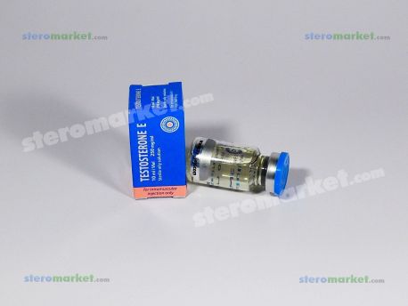 Radjay Testosterone E 10ml vial