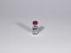 Purchasepeptides Melanotan 2 (10 mg)