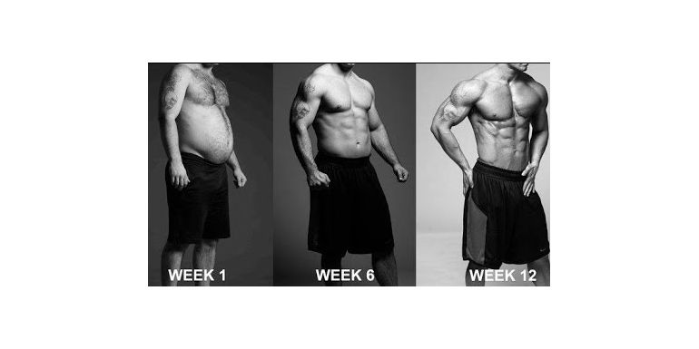 Beginner steroid cycle Guide