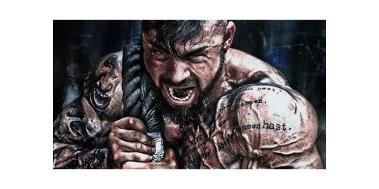 Steroids features and uses