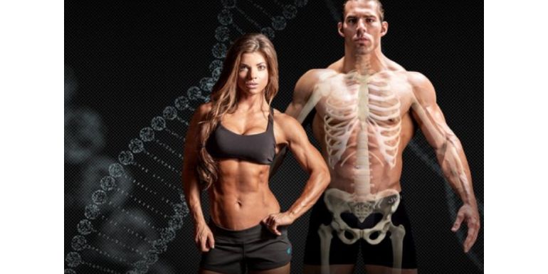 Formula to figure out how much protein you need